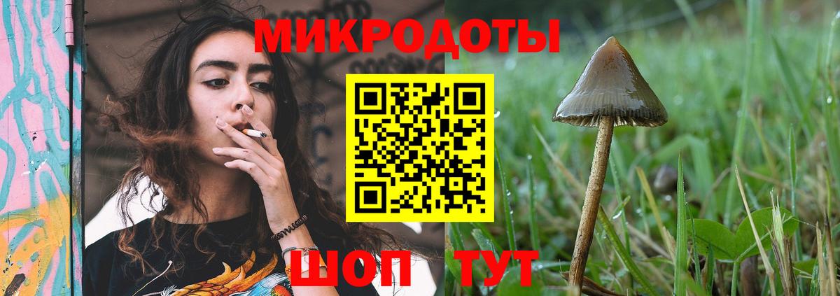 Димитровград  Псилоцибиновые грибы Cubensis  Вход с VPN 